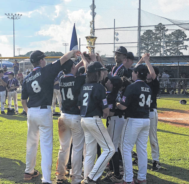 youth baseball south carolina