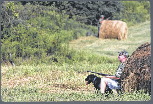 
			
				                                The N.C. Wildlife Commission has released specific guidelines for hunters this dove season, which begins Sept. 5 and will last through Oct. 10. The commission also will offer beginner classes online for deer hunters.
                                 Missy McGaw | N.C. Wildlife Commission

			
		