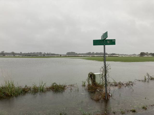 
			
				                                Water stretched Thursday afternoon across a field at N.C. 72 and Collins Drive near Britts Fire Department in Lumberton.
                                 Jessica Horne | The Robesonian

			
		