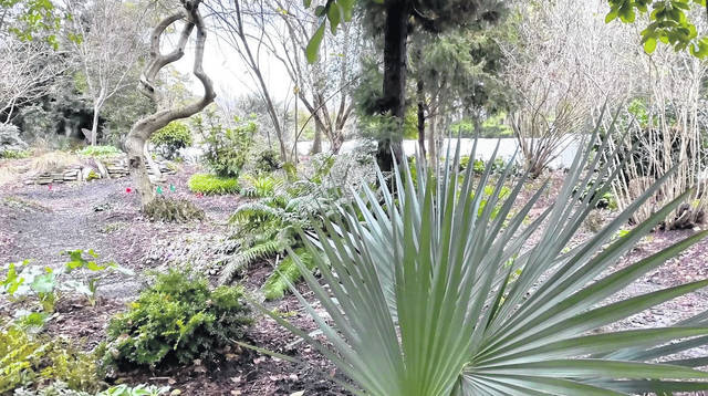 Juniper Level Botanic Garden To Be Open