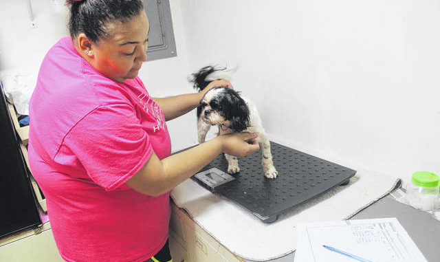 Humane Society Offers New Program To Help Residents Get Pets Spayed And Neutered Robesonian