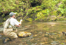 
			
				                                Chris Wood fish Armstrong Creek for wild trout. The N.C. Wildlife Resources Commission will open 34 trout streams and two lakes classified as Delayed Harvest to trout harvest on June 4 through Sept. 30
 
			
		