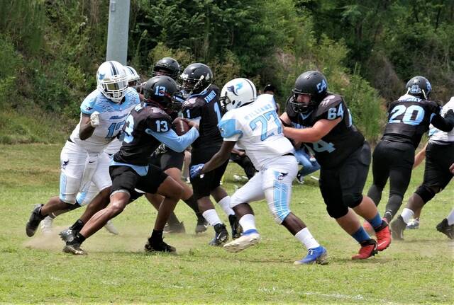 Carolina Bears beat Williamsburg Colonials, advance to AFF championship