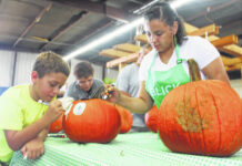 
			
				                                The pumpkin decorating contest will take place from 1 to 3 p.m. on Oct. 1 at the Robeson County Regional Agricultural Fair.
 
			
		