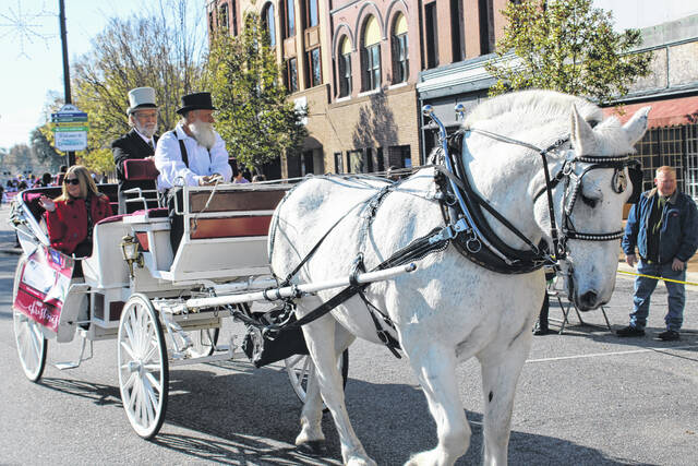 <p>The sole horse in the 2022 Lumberton Christmas Parade was that carrying the carriage from All Occasions Carriage Co.</p>
                                 <p>Tomeka Sinclair | The Robesonian</p>