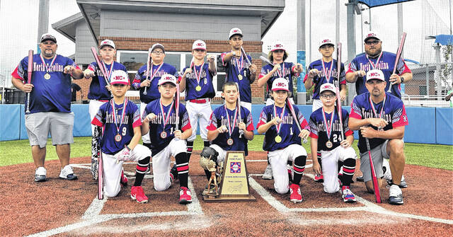 Little League World Series 2019 teams, ages, pitch count & more: A