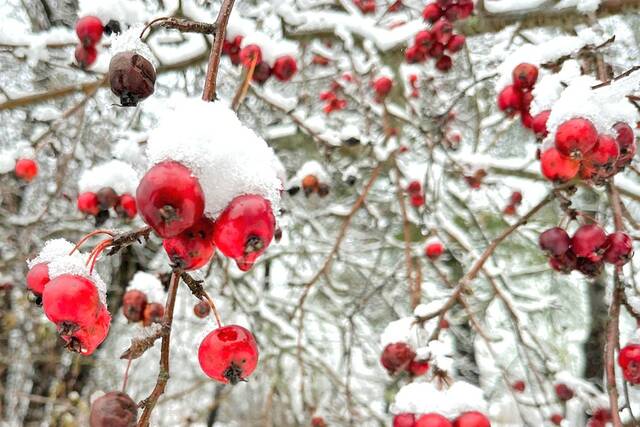 Rain, snow chances to roll into Michigan Wednesday 