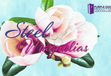 
			
				                                The stage production of “Steel Magnolias” was shut down before it ever opened because of “unexpected maintenance issues” at the Purple Door Studio Theatre in downtown Lumberton.
                                 Purple Door Studio Theatre

			
		