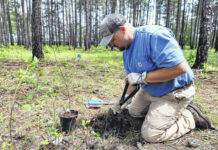 
			
				                                The Lumbee Tribe Agriculture and Natural Resources Department staff along with the Tribal Council and several partners came together recently at the Lumbee Culture Center to celebrate and honor Earth Day by planting blueberry bushes and Long Leaf Pine tree plugs.
                                 Courtesy photo | Lumbee Tribe of NC

			
		
